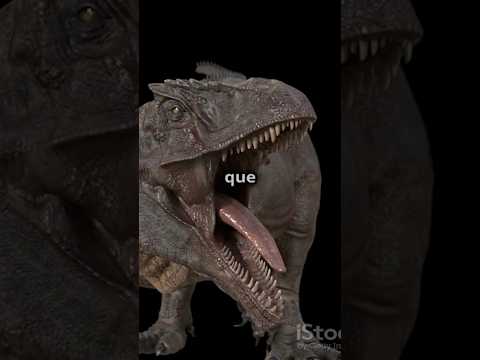 ¿QUIÉN GANARÍA? Giganotosaurus vs Spinosaurus #batallaépica #animales #dinosaurios