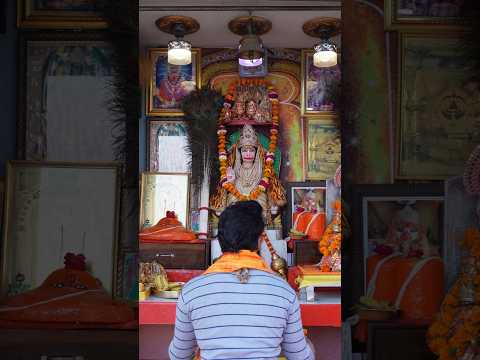 #1 हनुमान जी अमावस्या पूजन || Icchapurti balaji #hanuman #darshan #puja #shorts