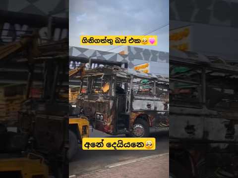 අනේ දෙයියනේ🥺💗 #dhamrejini #automobile #djremix #song #djremixsong #trending #viralvideo #buslover