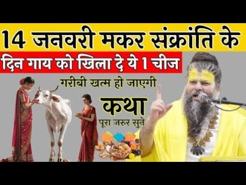 2025-मकर संक्रांति के दिन गाय को खिला दें ऐ 1चीज   |sri Premanand ji Maharaj