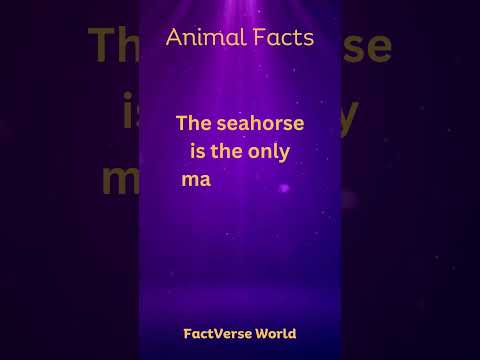 Animal Facts #animals #animalfacts #viralshorts