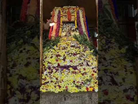 Live Darshan | Sri Rayaru Mantralayam | Pushpa Archana | Vishnu Shiva Datta