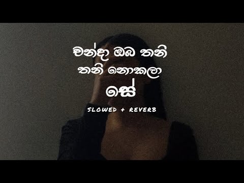 Chanda Oba Thani Nokala Se ( චන්දා ඔබ තනි නොකලා සේ ) slowed + reverb
