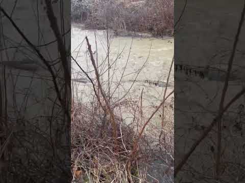 Ohio Creek Is Up Just a Tad