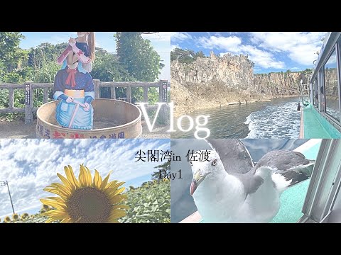 【Vlog】佐渡の記録 DAY1 /尖閣湾🚢/野菜収穫🍆/綺麗な田んぼ道🌿