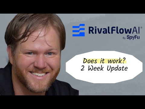 RivalFlow Update: How are my articles doing after 2 weeks?