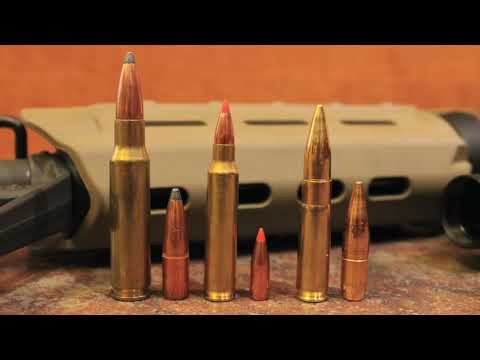 300 Blackout vs 5.56 vs 308: Which Is Best For You?