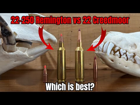 22 Creedmoor vs 22-250 Remington: Which is the ultimate 22 cal round?