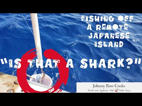 Fishing off a remote Japanese Island - Iriomote, Okinawa  | Johnny Row Cooks
