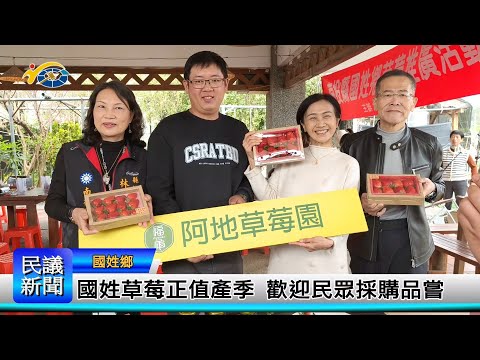 1140303 南投縣議會 民議新聞 國姓草莓正值產季 歡迎民眾採購品嘗 (縣議員 陳宜君、林芳伃)