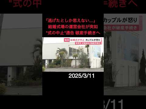 「逃げたとしか思えない」結婚式場の運営会社が突如“式の中止”を通告し破産手続き 予約済みのカップル憤る#shorts