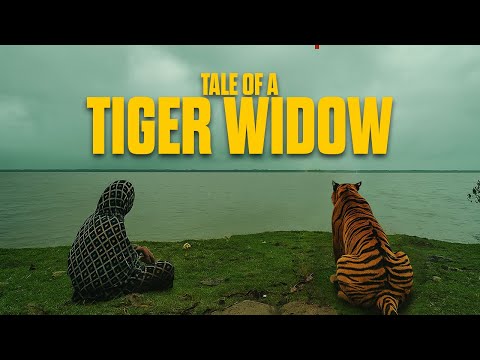 সুন্দরবনের বাঘবিধবা - Tale of a Tiger Widow 🌼 | A Day in their Skin EP-03