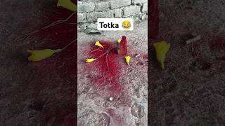 Totka aur colour Comedy😂 @CrazyVKF #comedy #totka #totke #shorts #viral