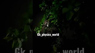 gk_physics_world #physics #neettricks #neet #jee #waveoptics #oscillations #neetmotivation #neet2023