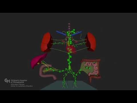 Understanding Plastic Bronchitis