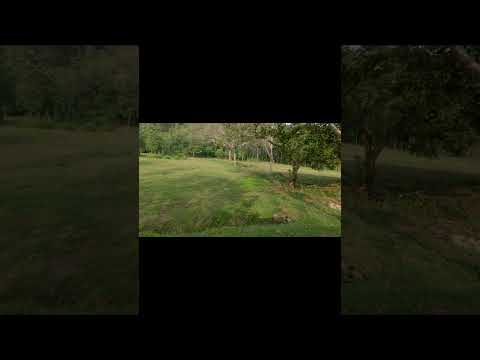 Lot for sale: 1.24 acre lot in Hatillo, Quepos for $125,000. It's just 7 minutes to Dominical