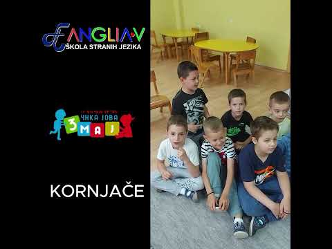 Anglia u vrtiću Čika Jova Zmaj grupa Kornjače