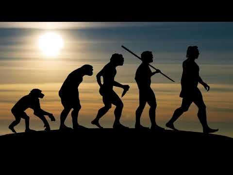 Bugwana Bot, Sunlight and the Genetic Engineering Revolution, and the Creation of Antimatter