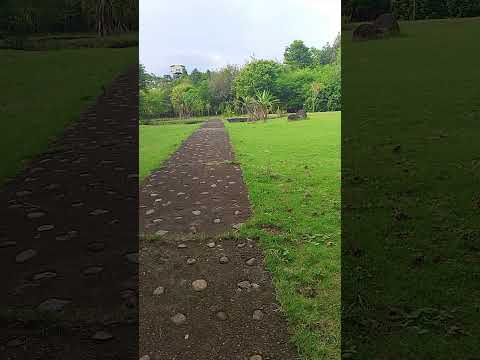 #playground #overlooking #nature #shortsvideo