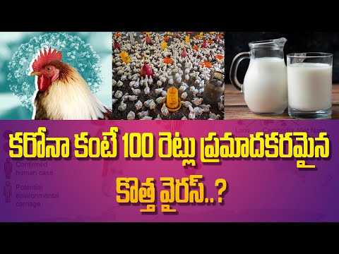 కరోనా కంటే 100 రెట్లు ప్రమాదకరమైన కొత్త వైరస్..! | Planet Leaf