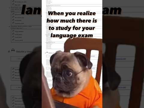 If you're overwhelmed, ask for help! That’s what #LanguageCoaches are for #typingdog #languagetest