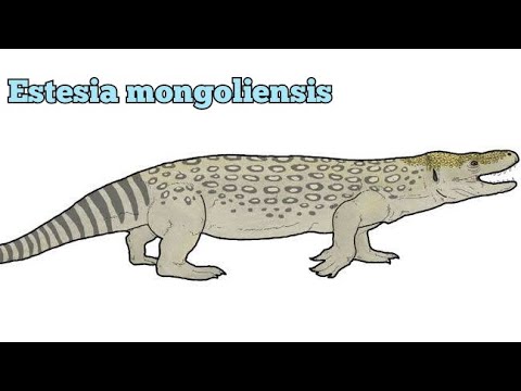 Todo sobre Estesia mongoliensis