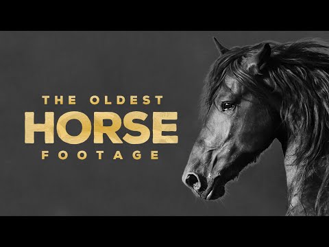 Oldest horse footage ever