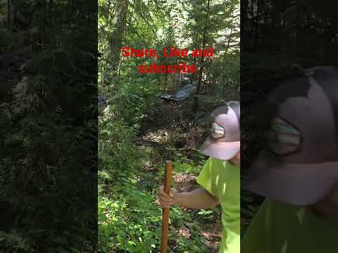 Prospecting #gold #goldmining #goldfever #goldminer #outdoors #mining #mine #utubeshorts #prospector