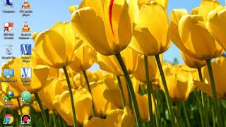 Best screen recoder for pc