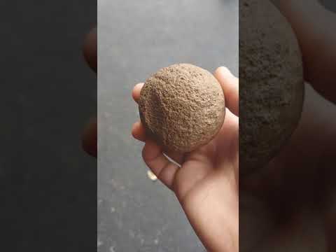 Pecking Stone or Game Ball?