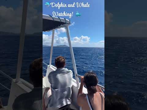 Dolphin and Whale Watching!  #blackwomentravel #empoweringblackwomen
