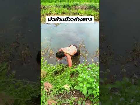 จำไปทำตามนะ😂#เอ้หวานนุ่ม  @P3636-c9f