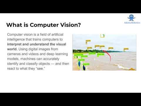 What is Computer Vision ?