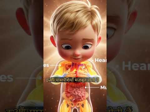 Child Eating Egg: Inside Body 3D Animation