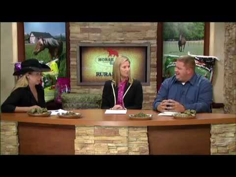 Premium Forage & Your Horse