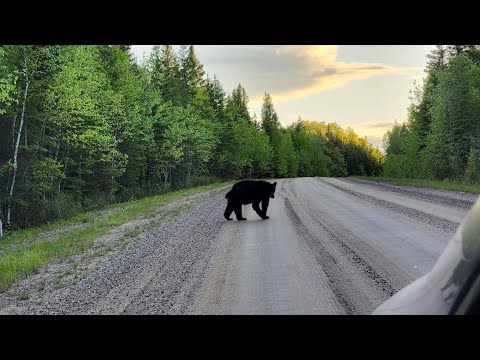 Quick 30 seconds tour of north Manitoba