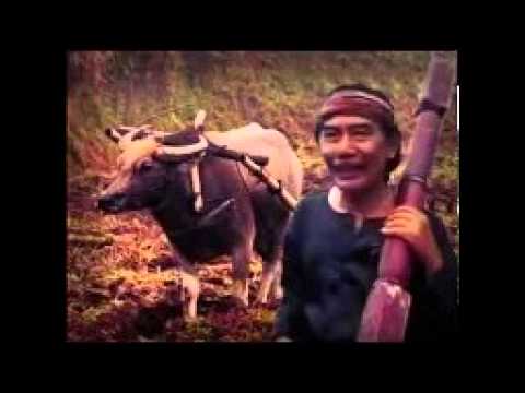 DRAMA TARLING PANTURA "BARIDIN" FULL