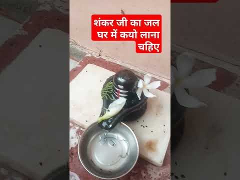 शंकर जी का जल  घर में कयो लाना चहिए #pradeepmishrajidhankeupay