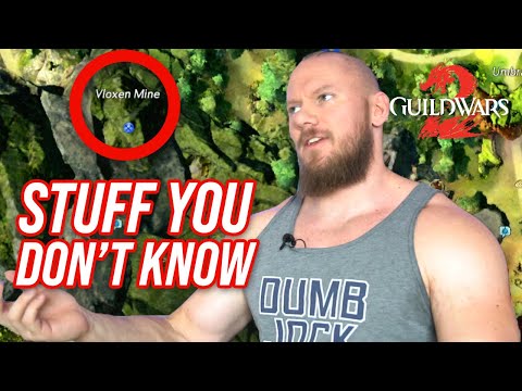 7 Things you (probably) don't know about Guild Wars 2!