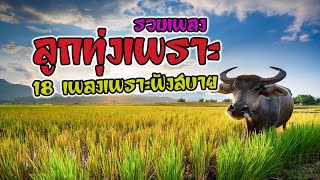 รวม 18 เพลงลูกทุ่งเพราะ ฟังสบาย