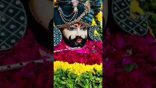 Jai shree shyam🙏❤️ #fyp #foryou #vj740 #babashyam #khatushyamji #haryana #viral #vijayrajput