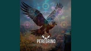 Peregrino