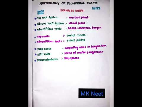 Morphology of flowering plants examples.tricks¬es .part_10.#mkneet #neet #neet2022 #neettricks.