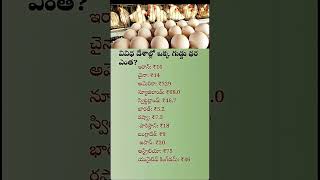 ప్రపంచ దేశాల్లో ఒక గుడ్డు ధర ఎంత? చూసి ఆశ్చర్యపోతారు!