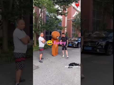 funny increase views