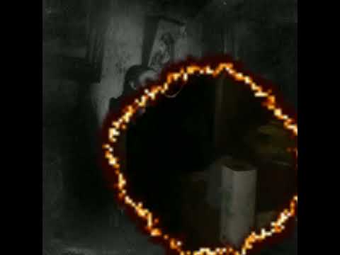 The Hamster Dance song with Unnerving Images