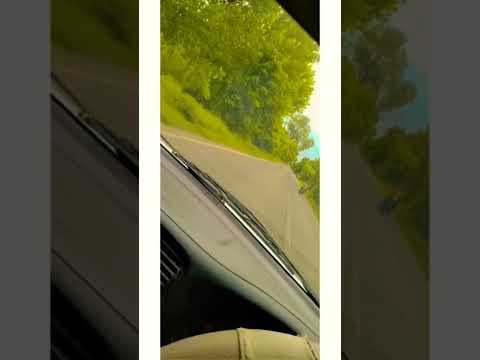 295 sidhu song car bass #sidhumoosewala #sidhumoosewalastatus