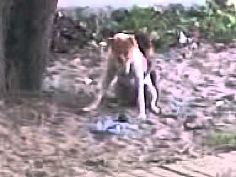 Video002
