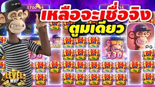 #สล็อตpg | สล็อตเว็บตรง | สล็อตแตกง่าย | ลิงสุดไวลด์ เหลือจะเชื่อจิงๆ ตูมเดียว!!😱😱