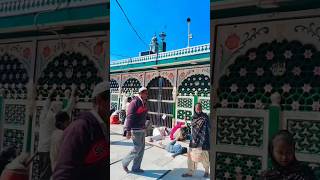 Nabi Nabi #shortsvideo #viralvideo #youtubeshorts #kaliyarsharifdargah #trendingshorts #dargah